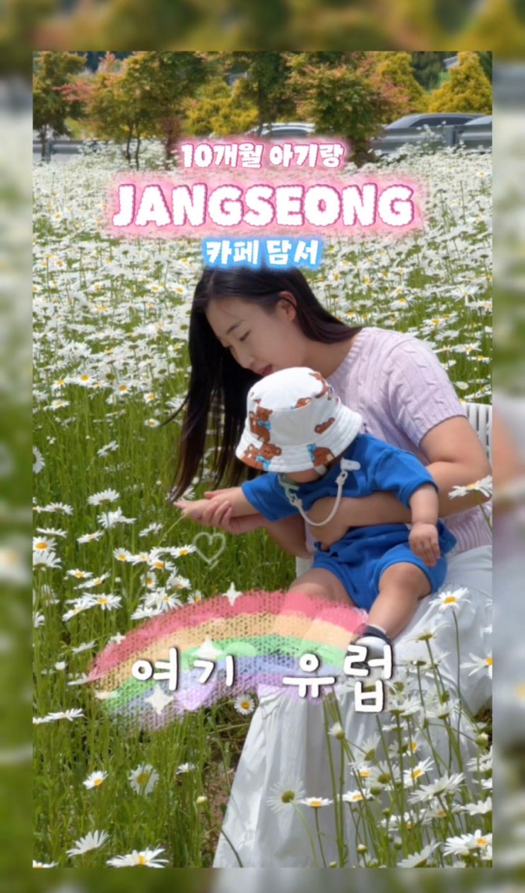 장성 담서카페 샤스타데이지 만개 아기랑 다녀온 감성카페 후기