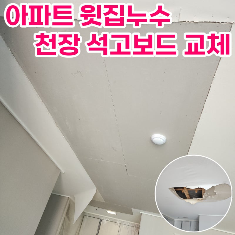 아파트 천장 누수 곰팡이 천정 석고보드 교체