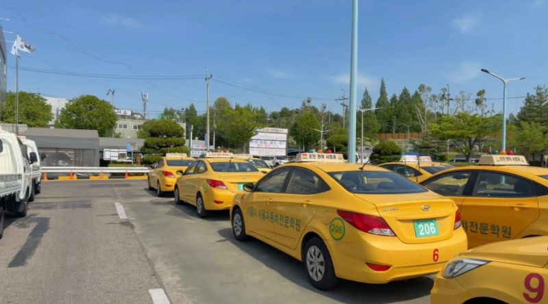 [면허] 서울자동차운전전문학원 2종 보통 도로주행 합격 후기/팁/코스 정리