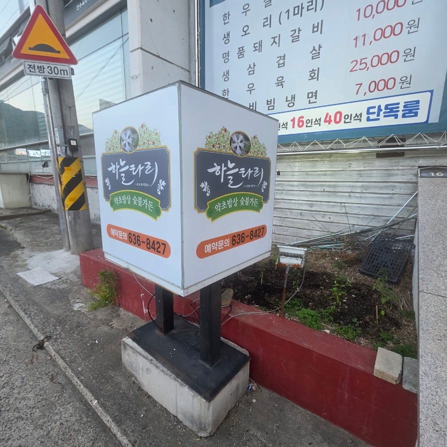 하늘타리 사진 2