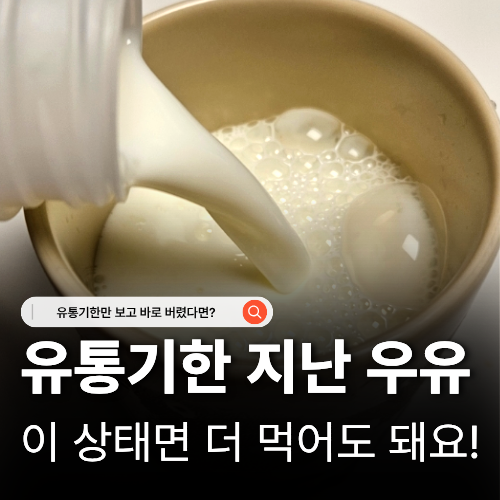  유통기한 지난 우유 버릴까 말까 상한 우유 구별법과 진짜 소비기한 보관법
