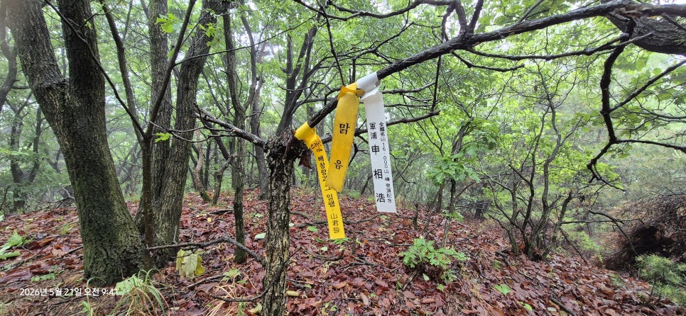 망골산 사진 6