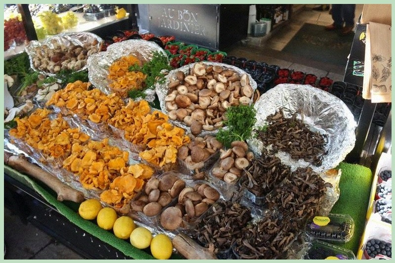 블루오즈 사진 3