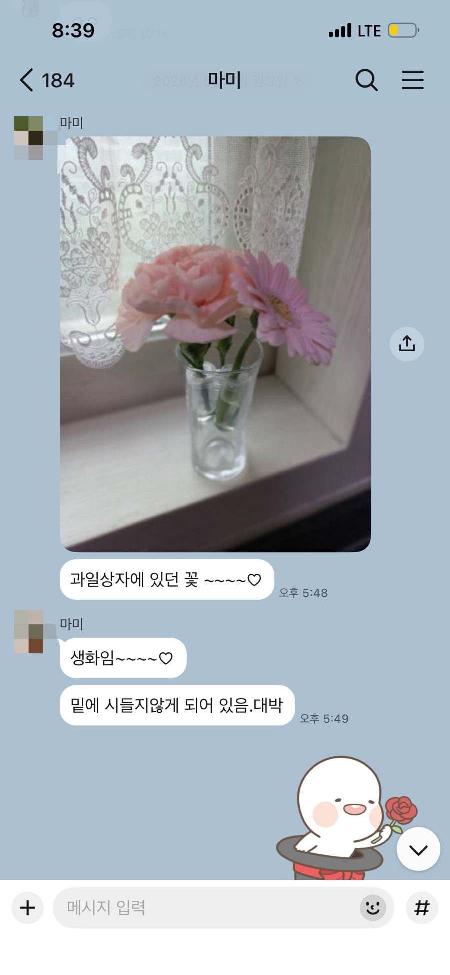 부산오징어 사진 5
