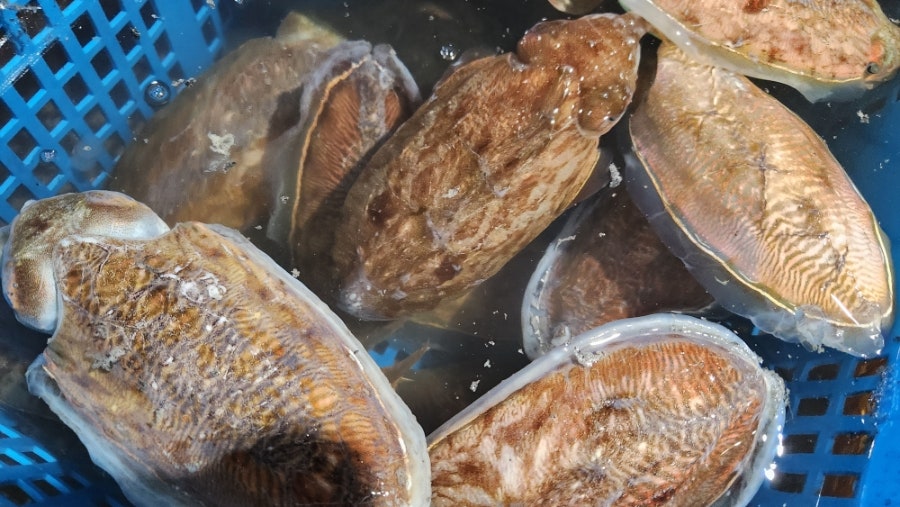 복성식당 사진 3