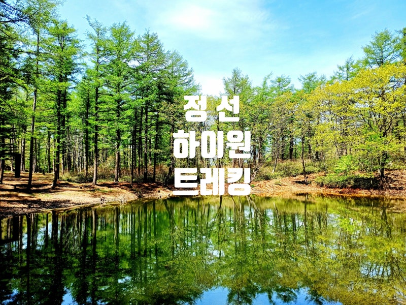 강원도 하이원 하늘길 트레킹｜도롱이연못·마천봉·무릉도원길까지
