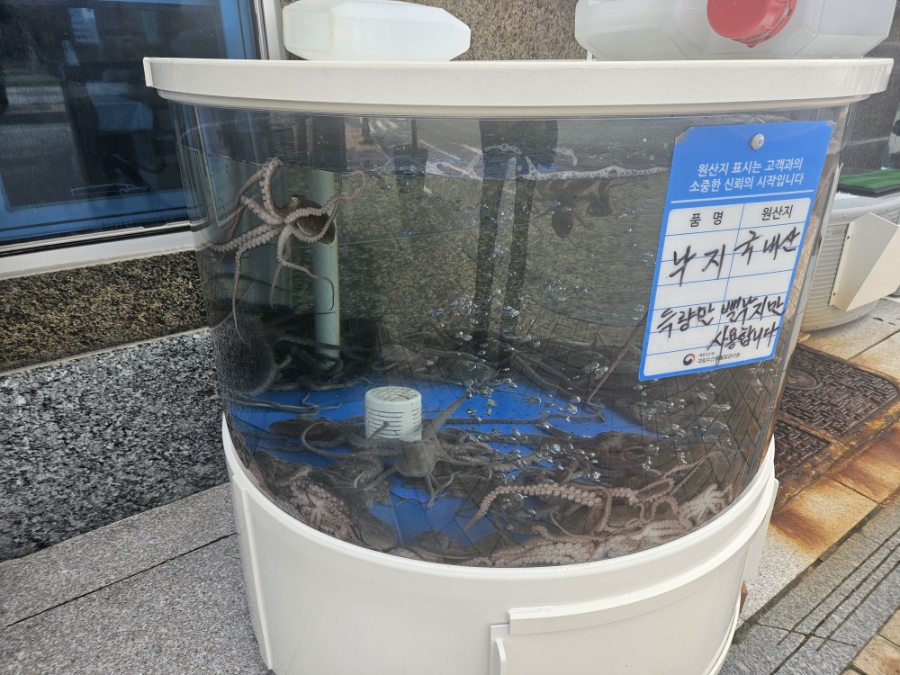 보성아라낙지 사진 3