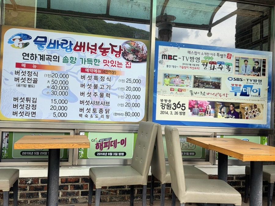 물바람버섯농장 사진 4