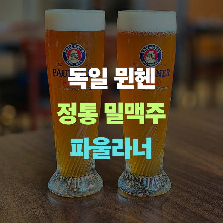  "독일 정통 밀맥주는 파울라너" 부드러운 헤페바이스 생맥주의 매력 특징