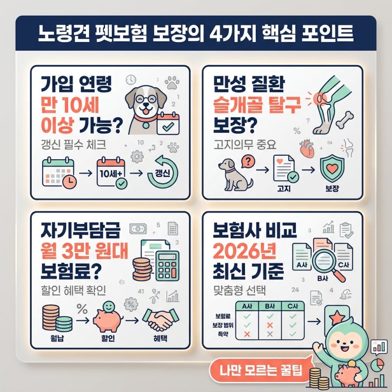 노령견 펫보험 보장 범위, 당신만 모르는 2026년 가입 꿀팁 4가지