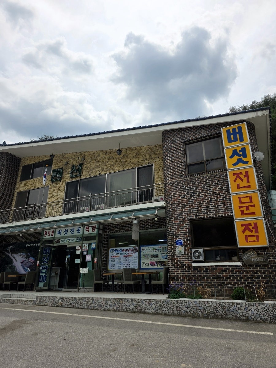 물바람버섯농장 사진 2