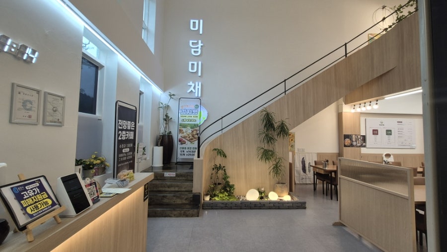 미담미채 사진 4