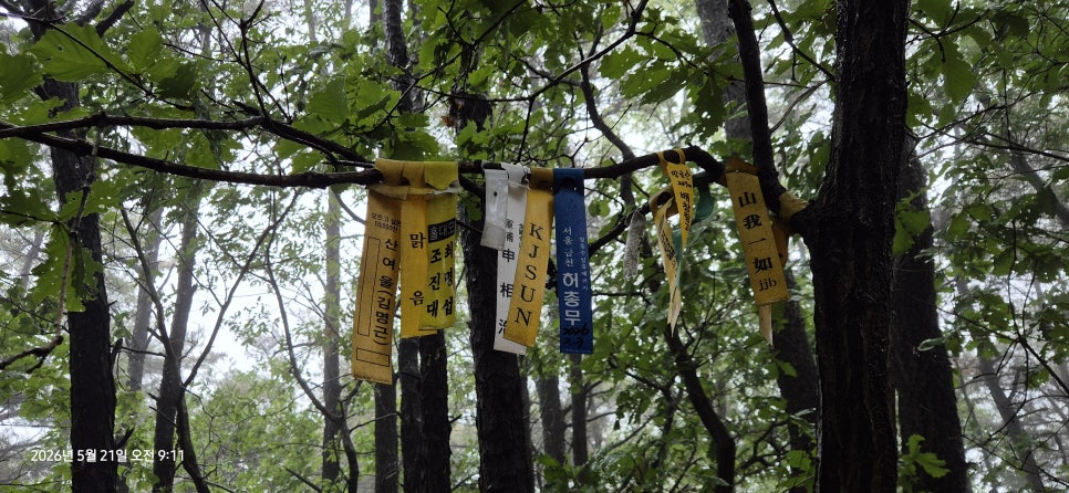 망골산 사진 4