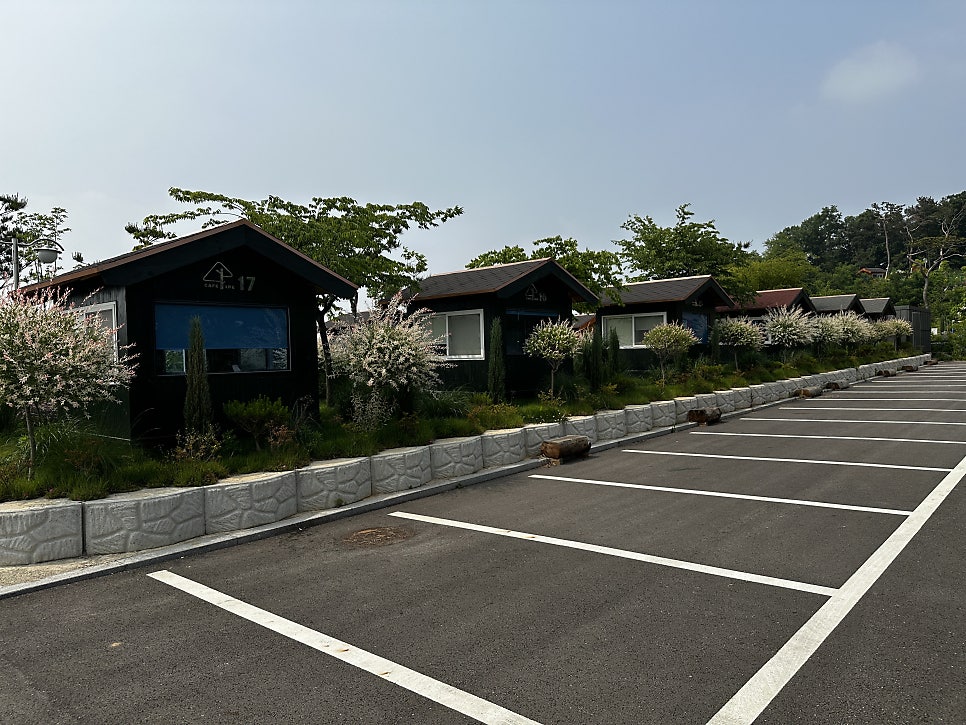 파인트리숲 사진 4