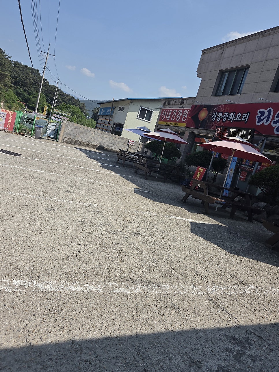 리송차이나 사진 2