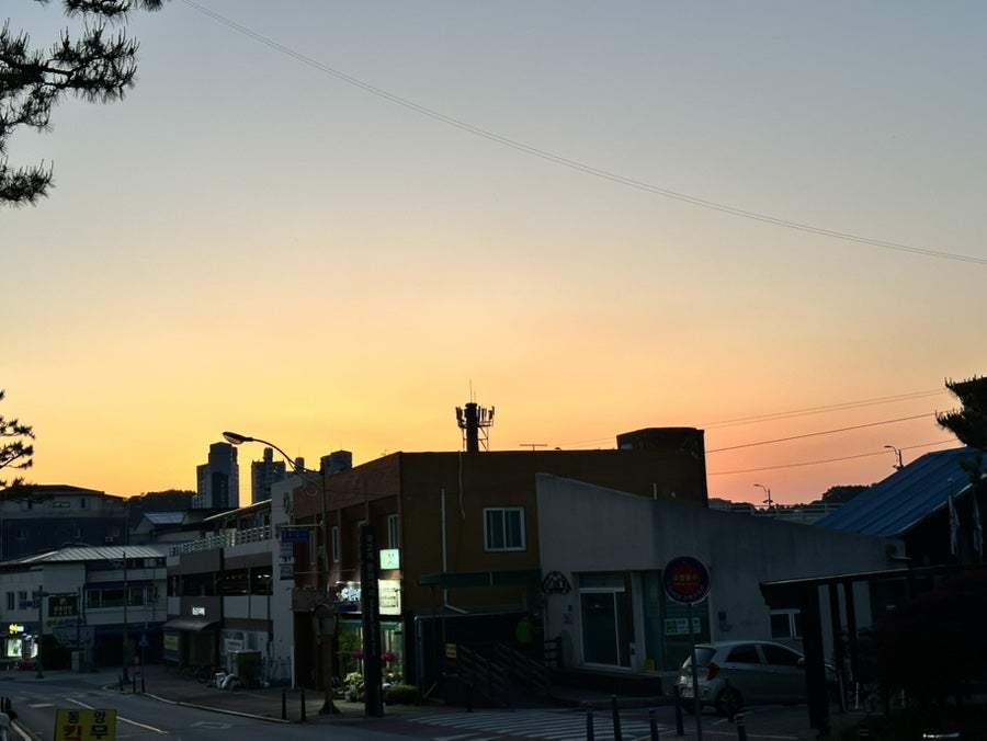 사랑의종 사진 2