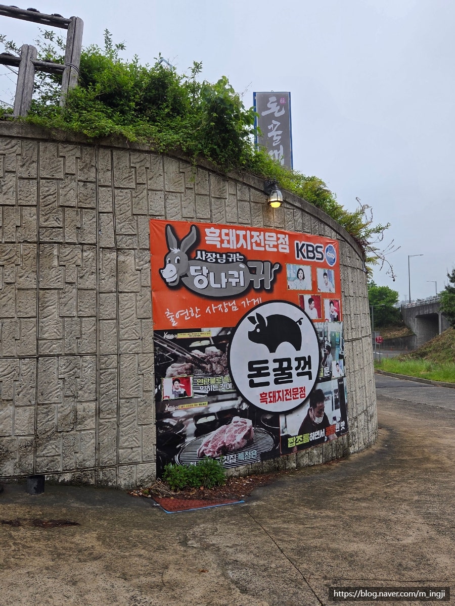돈꿀꺽 애월본점 사진 3