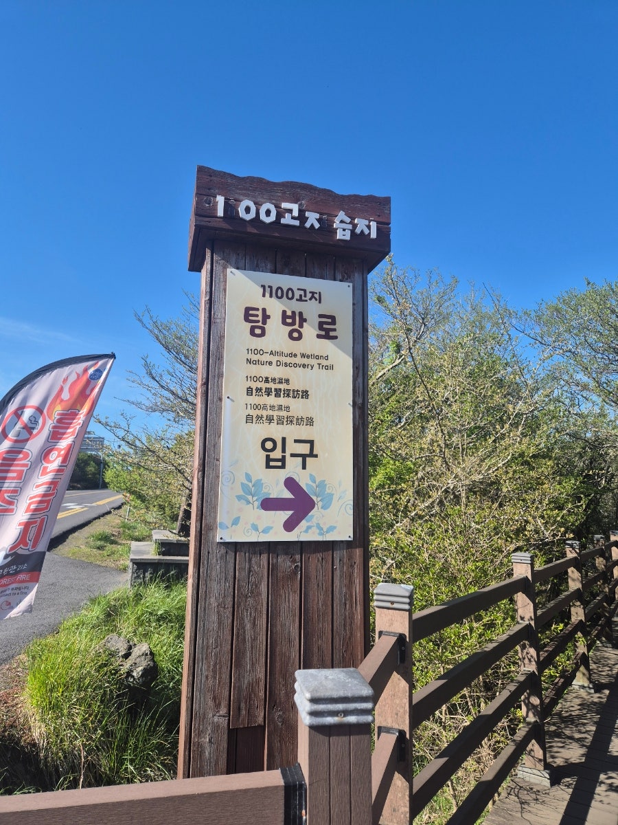 한라산1100고지 사진 5