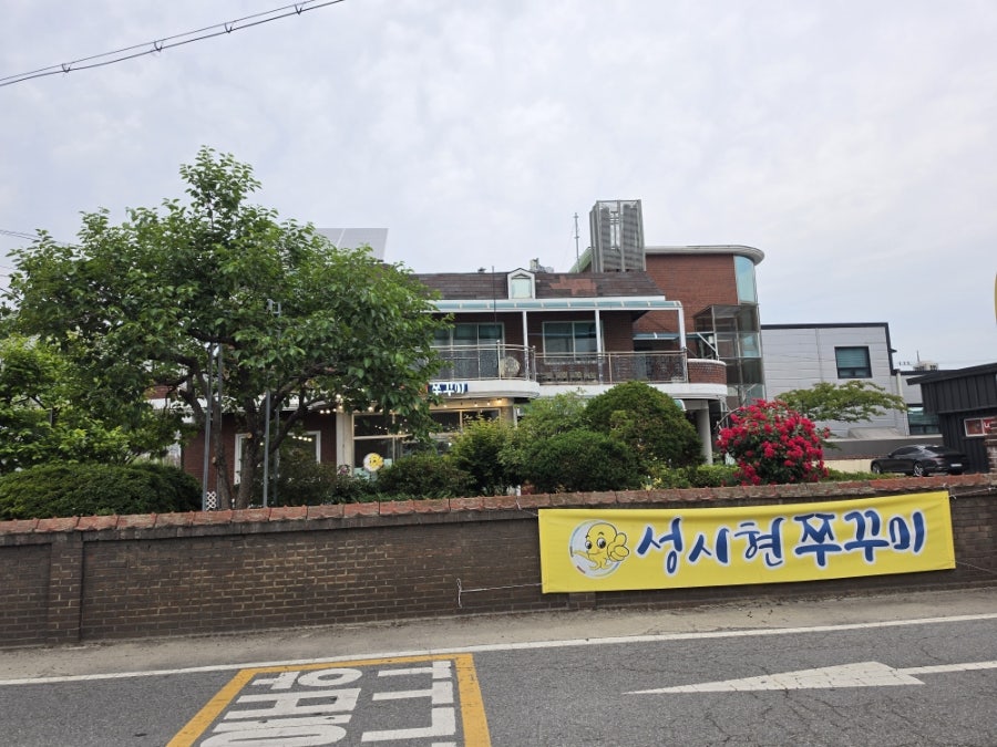 성시현쭈꾸미 사진 3