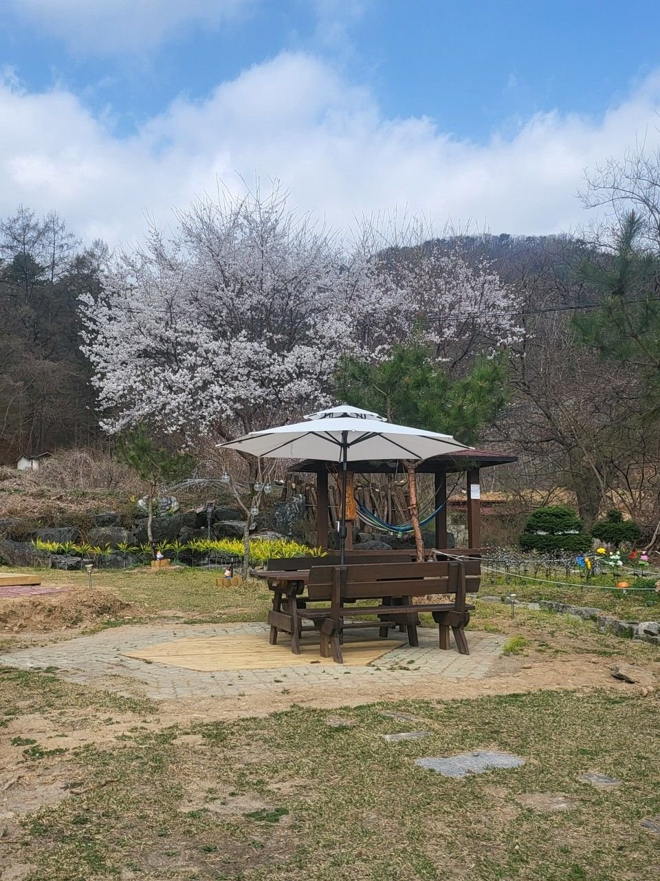 팔미농원 사진 5