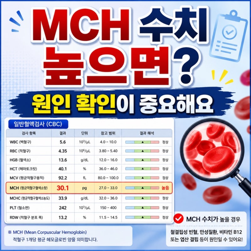 MCH수치 높으면 증상 방치하면 안 되는 이유