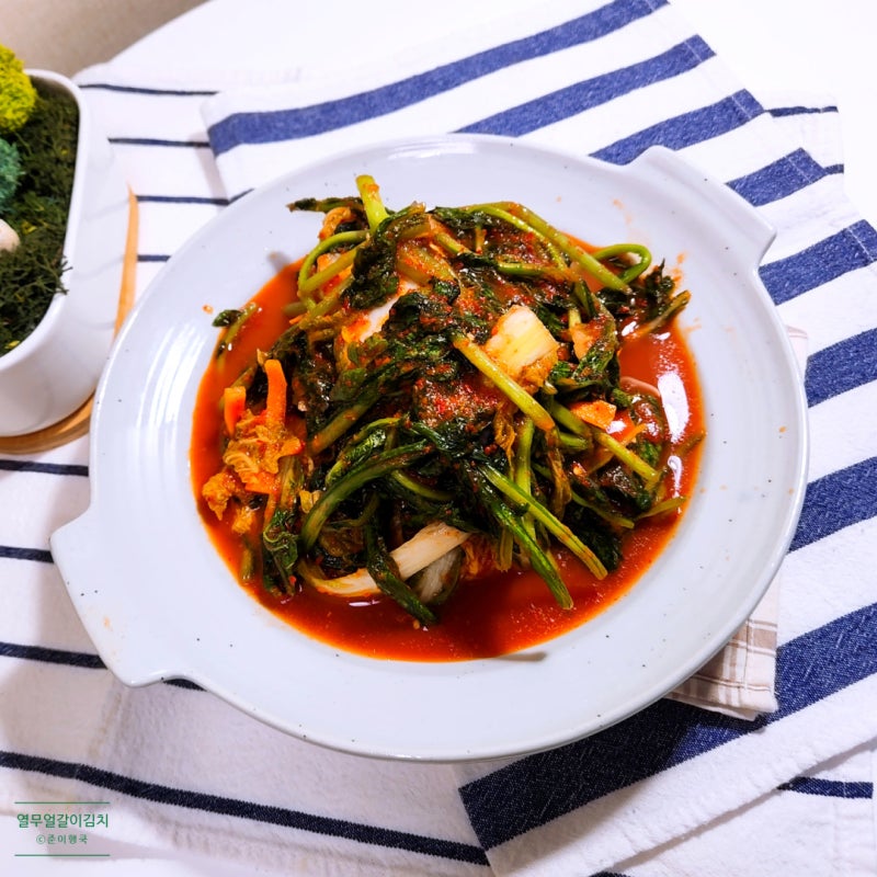열무김치 맛있게 담그는법 여름 물김치 금 레시피