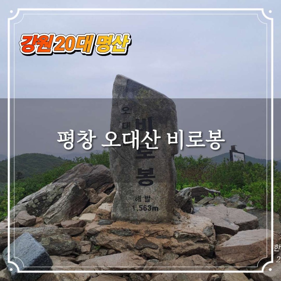 정골 사진 1