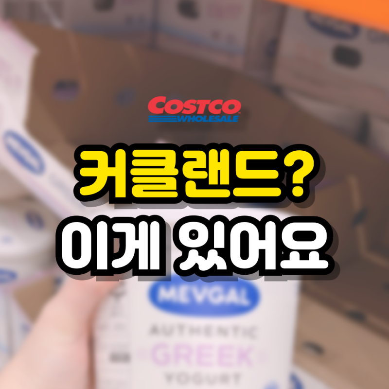 "커클랜드 그릭 어디갔어요?" 대신 담아온 코스트코 그릭요거트 3