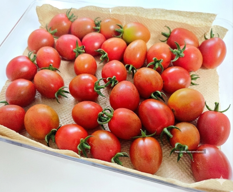 방울토마토 보관법 세척 씻는법 냉장 냉동 꼭지 논란 종결