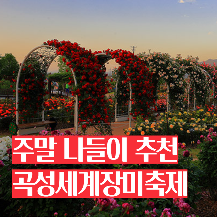 2026 <b>곡성 장미축제</b> 일정 가수 라인업 개화시기 애견동반... 