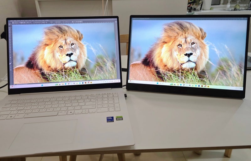 포터블 모니터 추천, LG 그램뷰 3세대 17MT70 9개월 사용 후기(ft.그램프로 16인치 17인치 듀얼모....