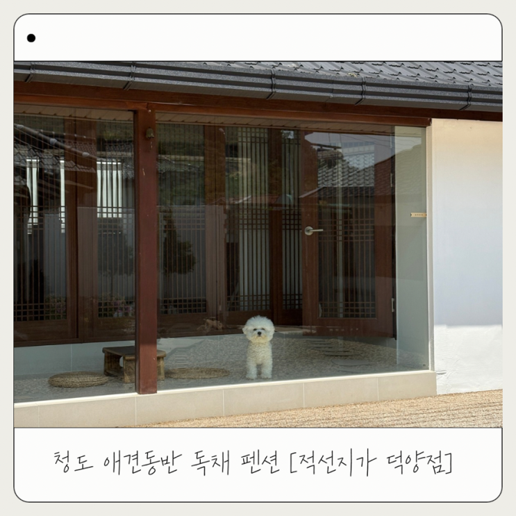  [적선지가 덕양점] 아기랑 청도 애견동반 독채 숙소 추천