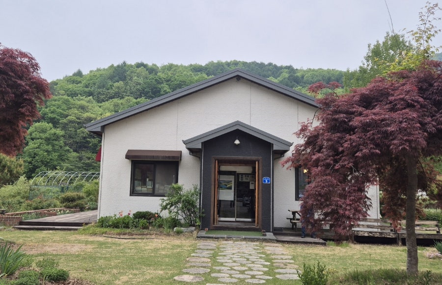 카페느티나무 사진 2