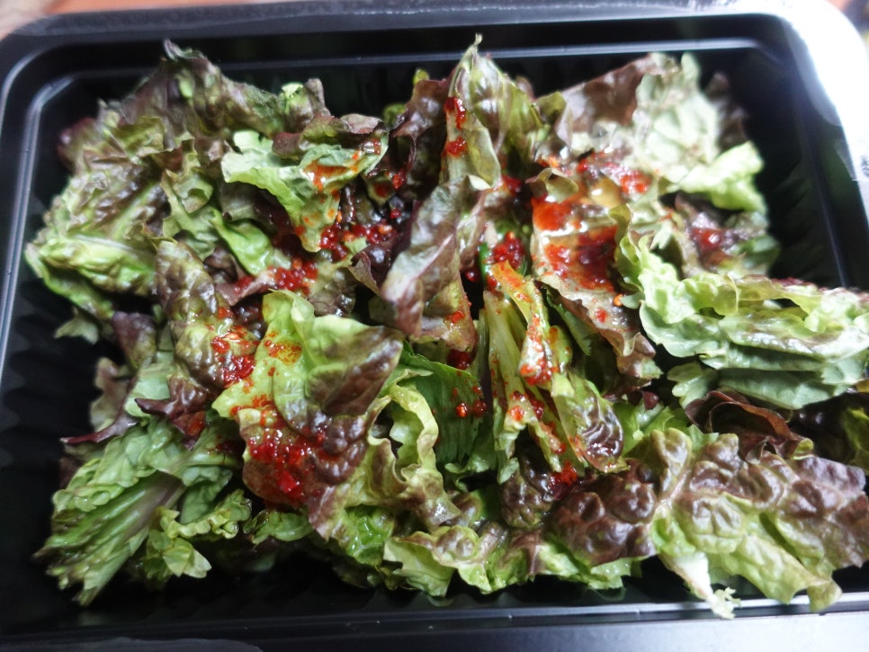 가우 사진 6