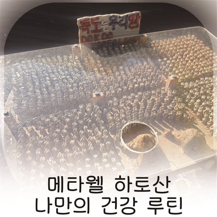  바쁜 일상 속 메타웰 하토산 관리 루틴