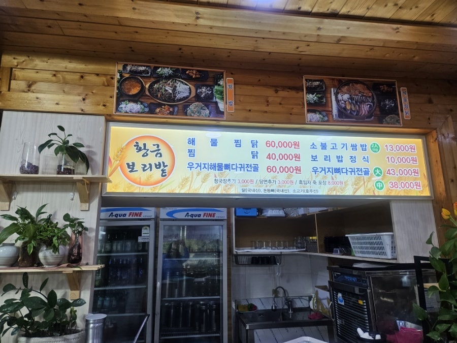 황금보리밭 사진 2