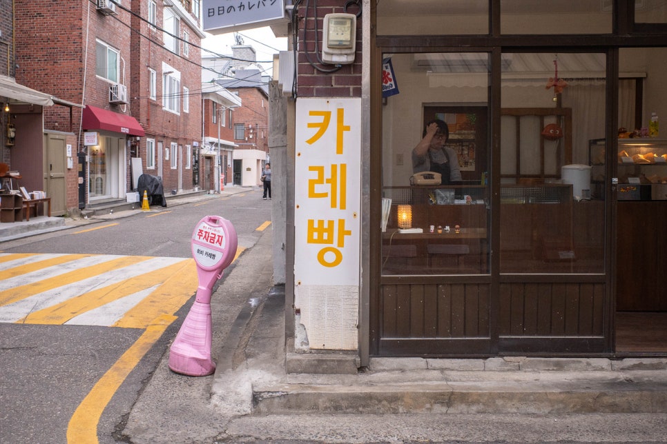 히비 사진 3