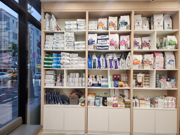 원주 무실동 동물병원 추천 [두루동물병원]