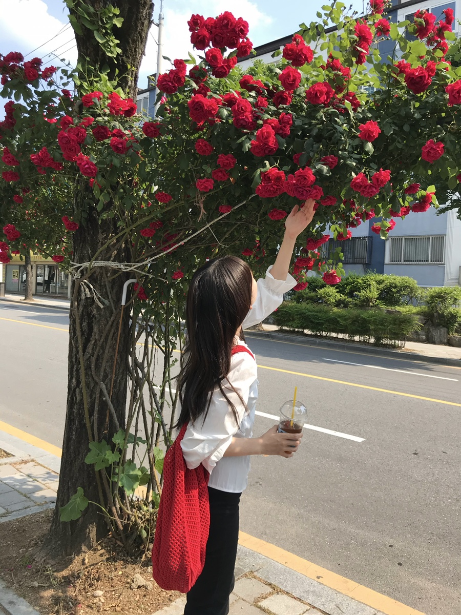 백송회관 사진 4