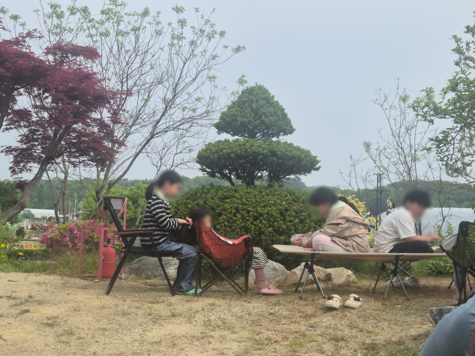 자연촌 여주참숯마을 2캠핑장 사진 6