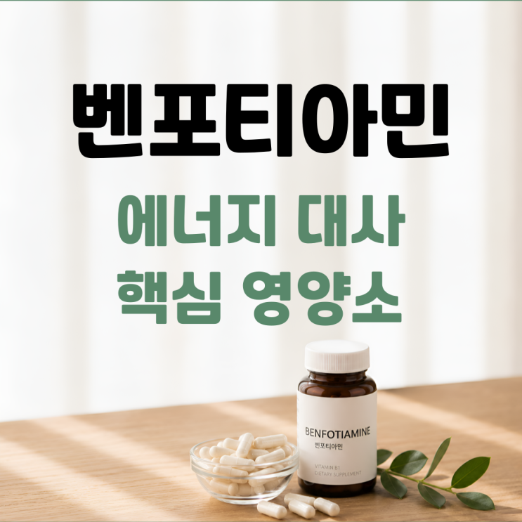 벤포티아민 효능 부작용 섭취방법 총정리 ㅣ 푸르설티아민과 차이점까지