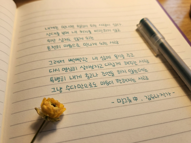  [필사 기록 Day 79] 특별한 조언 없이도, 곁에 있는 것만으로 위로가 되는 인연에 대하여