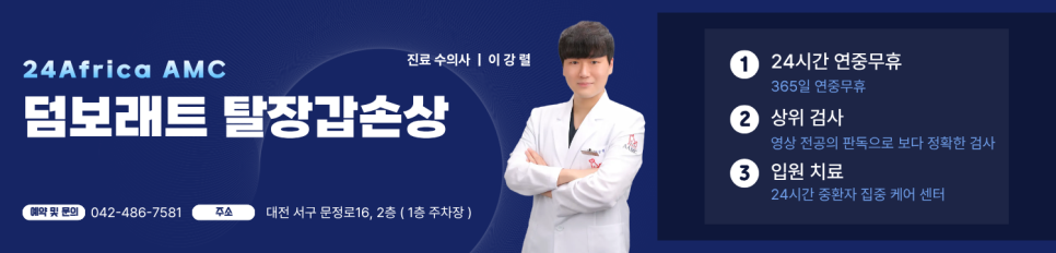 덤보 사진 6