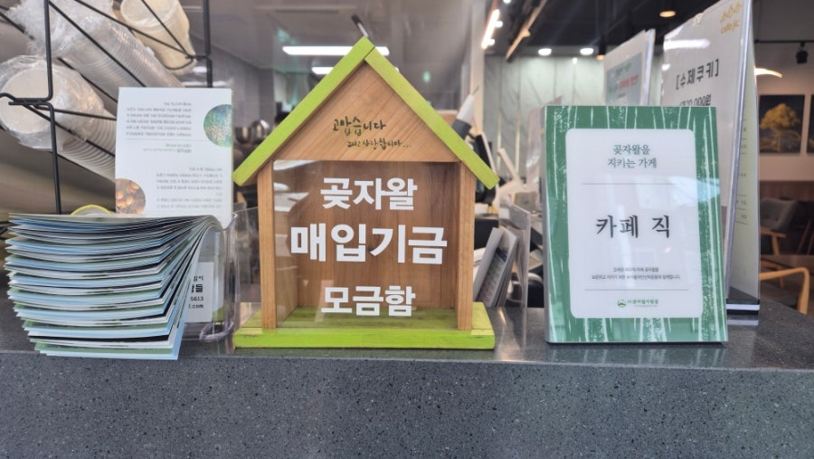 카페직 사진 6