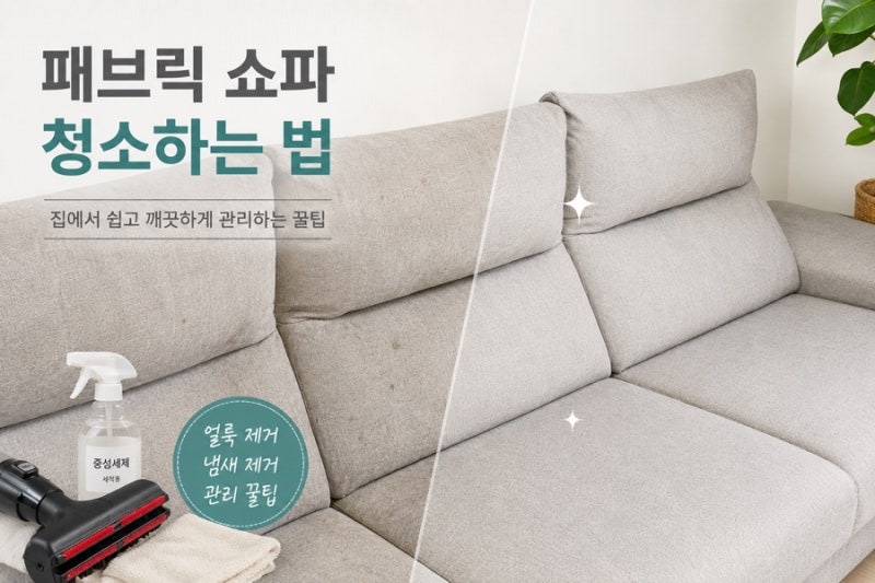 청소판다 쇼파 비쎌 청소기 대여 패브릭 소파 얼룩 제거 청소 방법