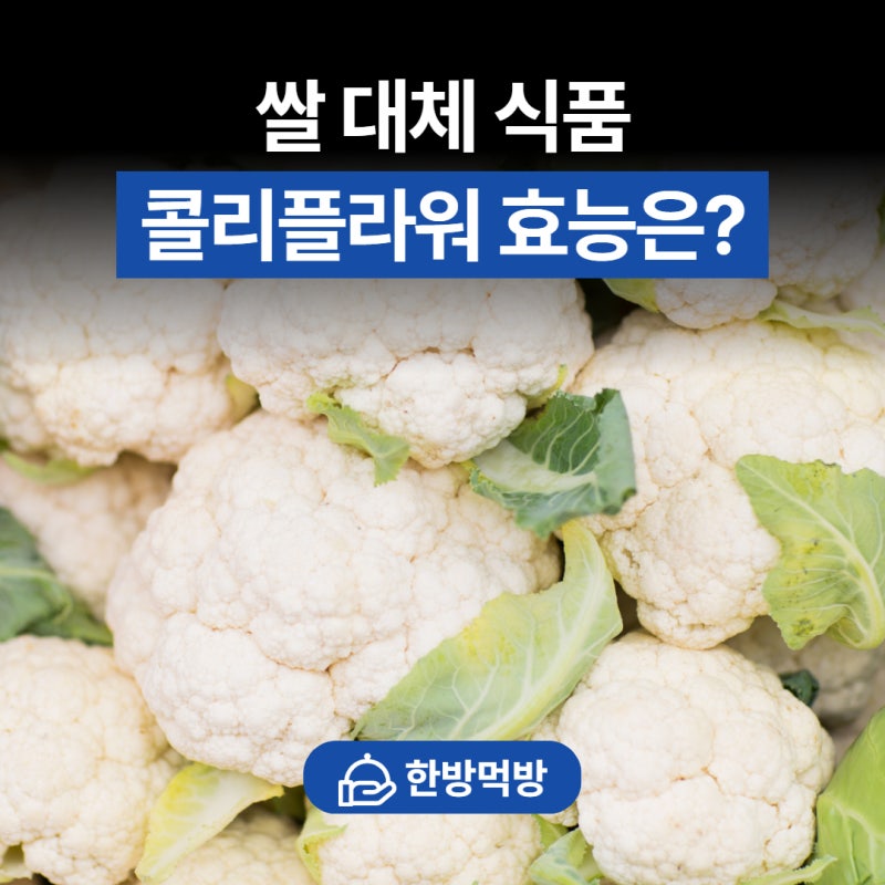 하얀 브로콜리? 쌀 대체 식품, 콜리플라워 효능