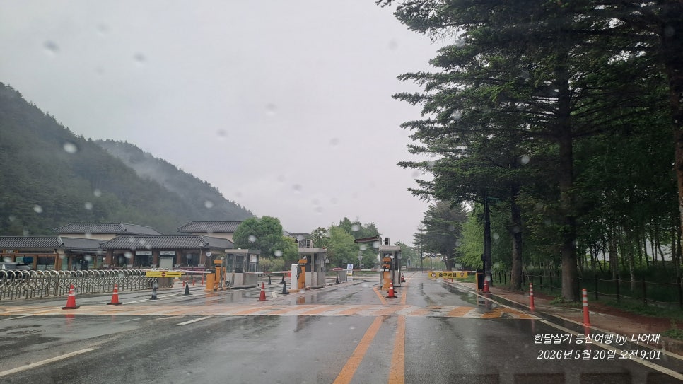 정골 사진 5