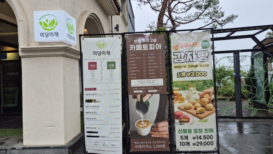 미담미채 사진 2