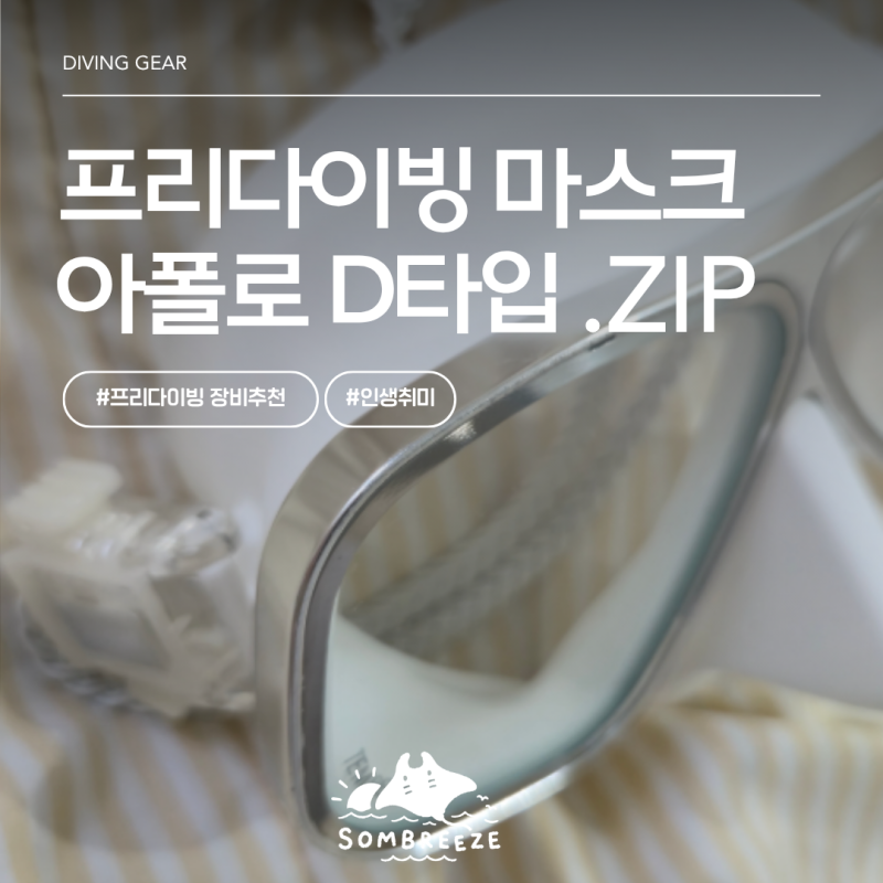 초보 프리다이버가 정착한 아폴로 바이오메탈 D타입 프리다이빙마스크 & 오션테그 스노클 후....