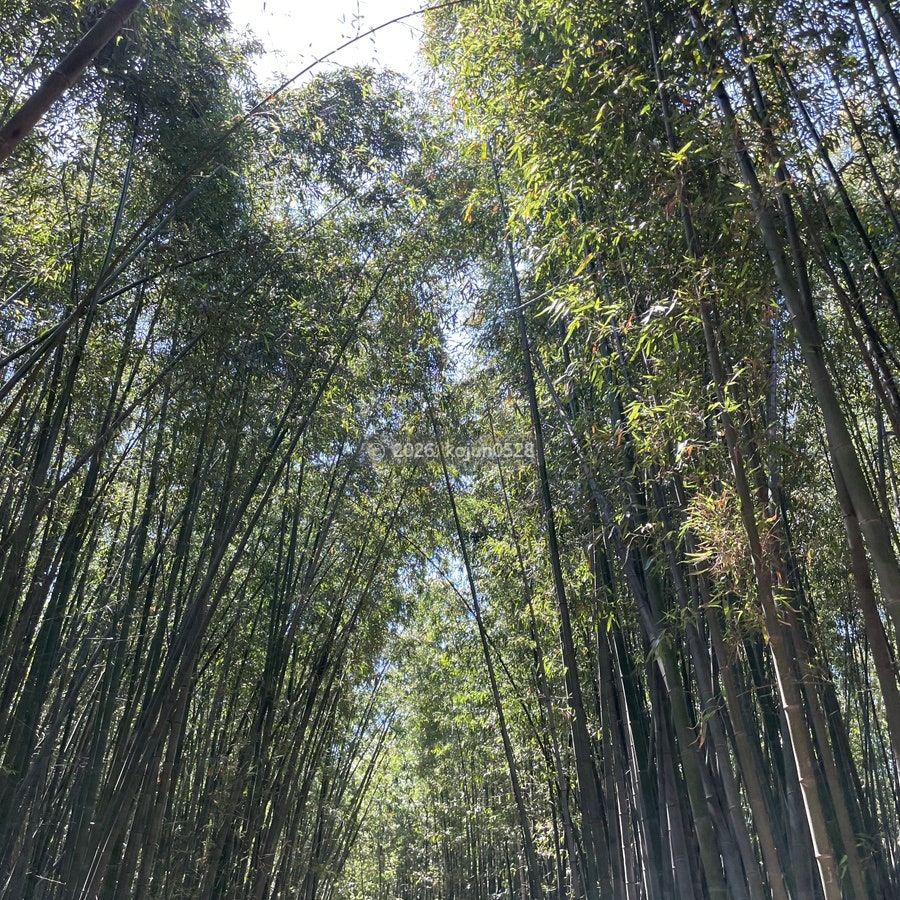봉화산한우잔치 사진 2